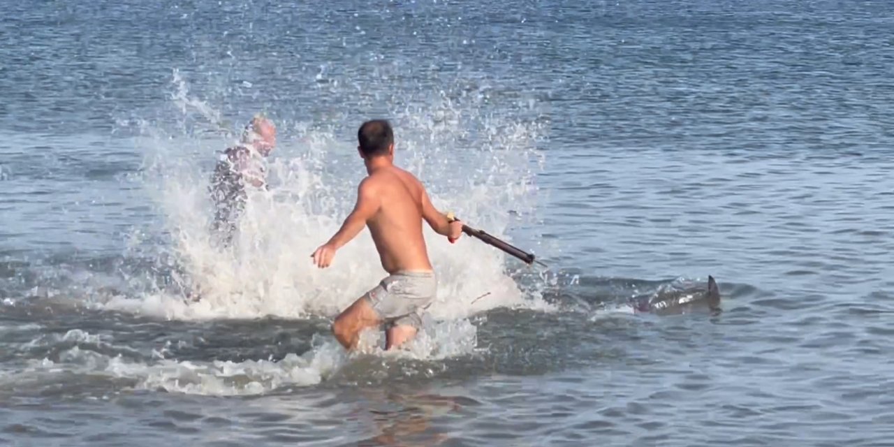 200 Kiloluk Orkinos Çakı Ve Zıpkınla Avlandı, O Anlar Kamerada