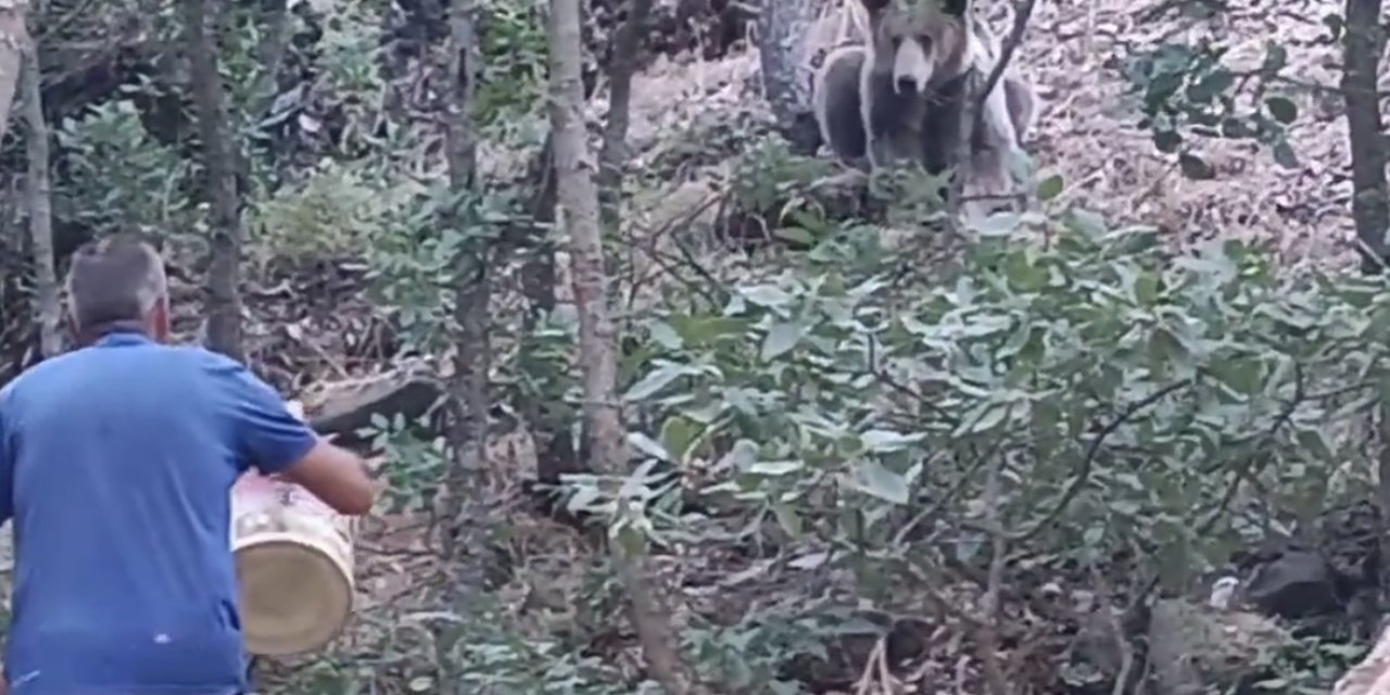 Milli Parktaki Yaban Hayvanları İçin 'ziyaretçilere 'Beslemeyin' Uyarısı