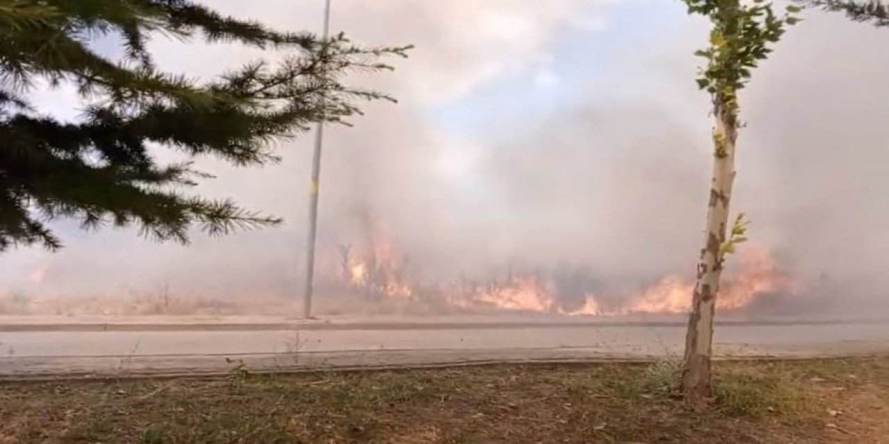 Bursa’da 20 Dönüm Ekili Buğday Yandı