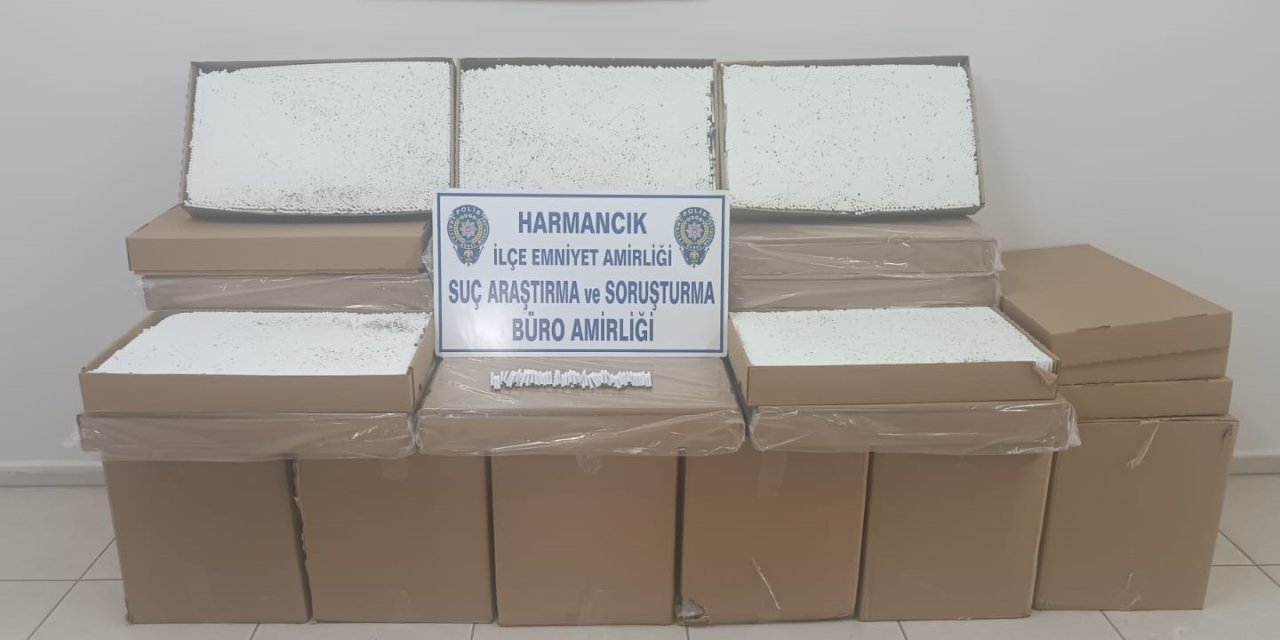 Bursa’da 270 Bin Dolu Makaron Ele Geçirildi