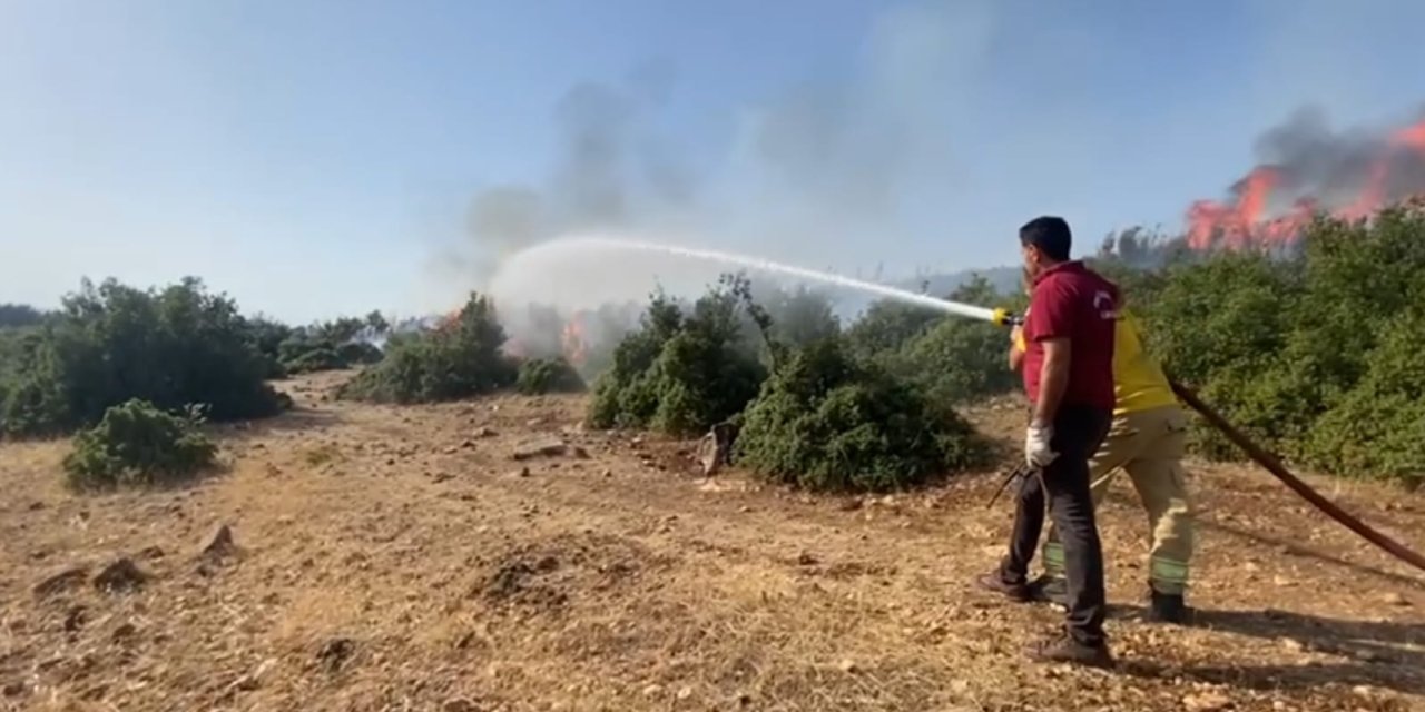 Kahramanmaraş'ta 2 Noktada Orman Yangını (2)