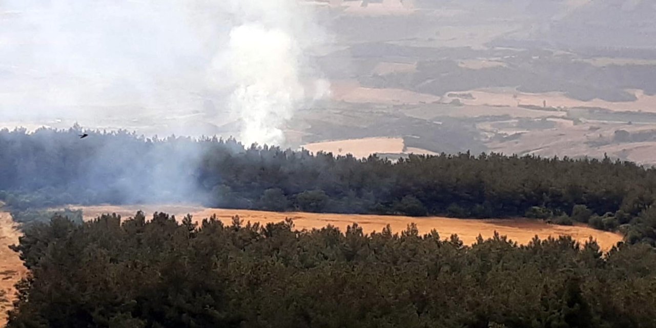Yıldırım Düşmesi İle Çıkan Orman Yangını Söndürüldü