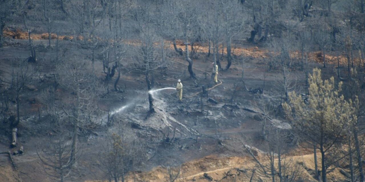 Balıkesir'deki Orman Yangını; Takviye Ekipler Sevk Edildi (3)
