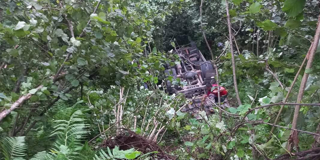 Giresun'da şarampole devrilen çekicideki biri çocuk 2 kişi öldü