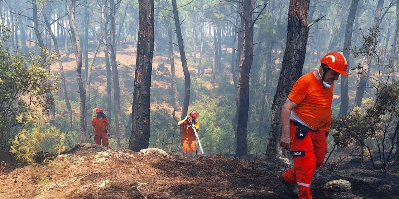 Antalya'da Orman Yangını (2)