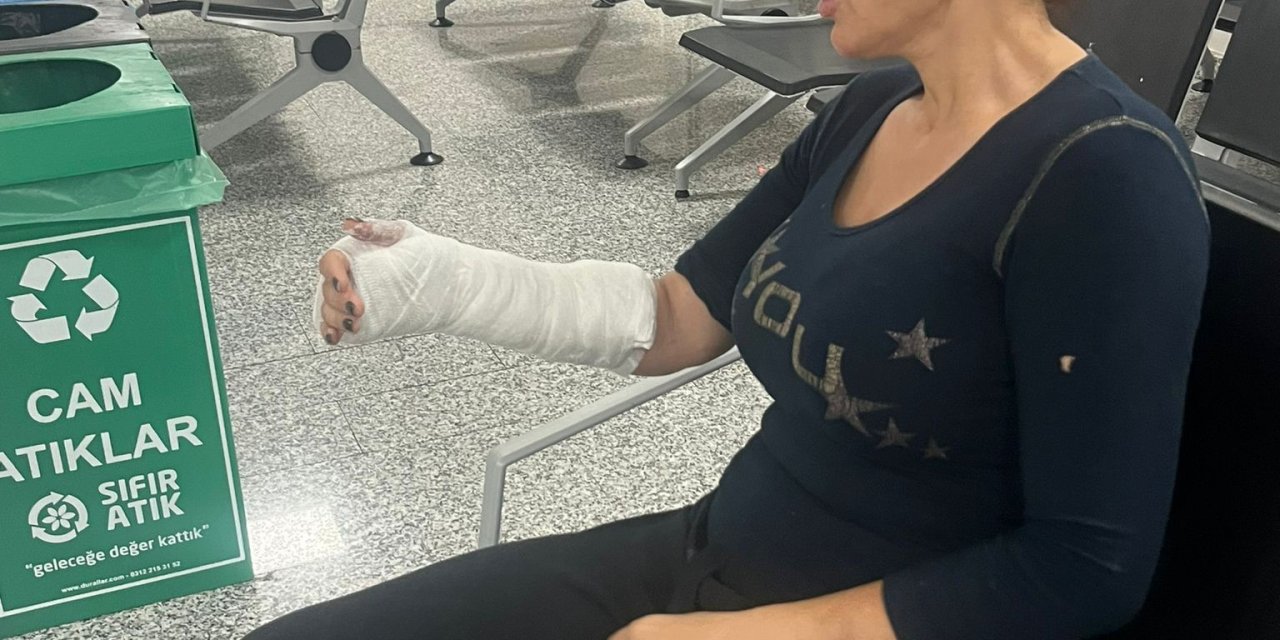 İstanbul-maltepe'de Sokak Hayvanlarını Beslediği İçin Darp Edilen Akademisyen Yaşananları Anlattı