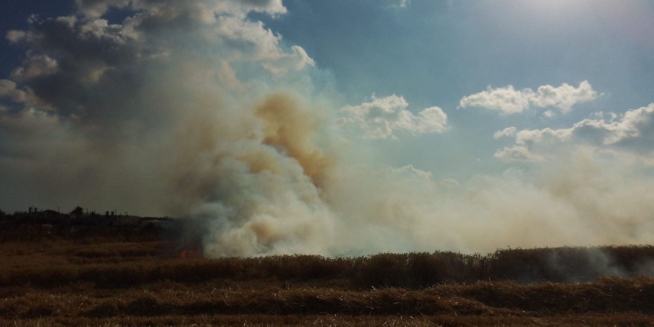 İstanbul- Silivri'de Buğday Tarlası Alevlere Teslim Oldu