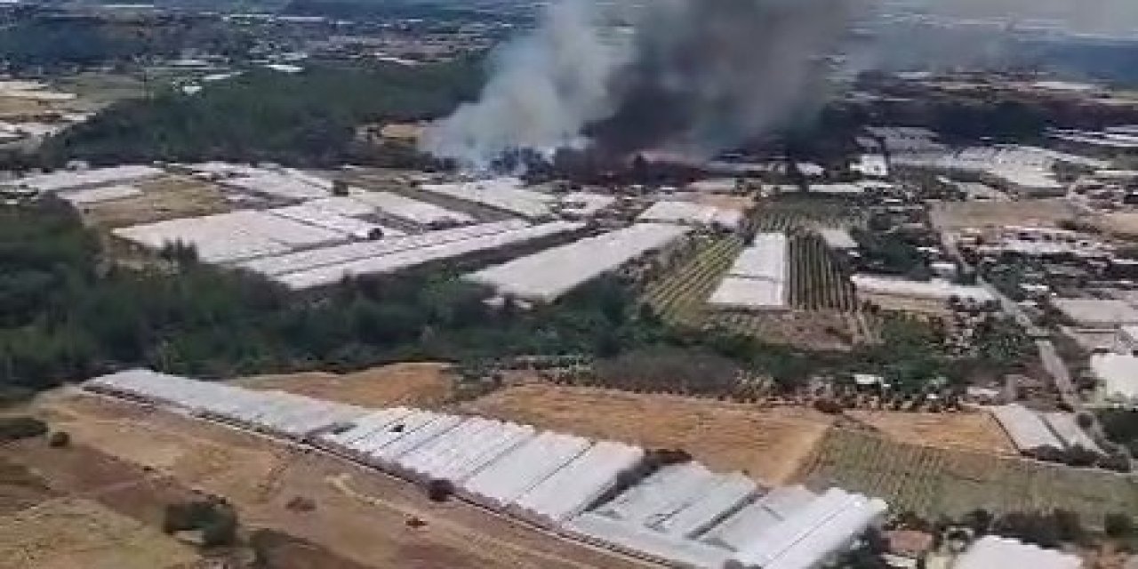 Antalya'da Orman Yangını