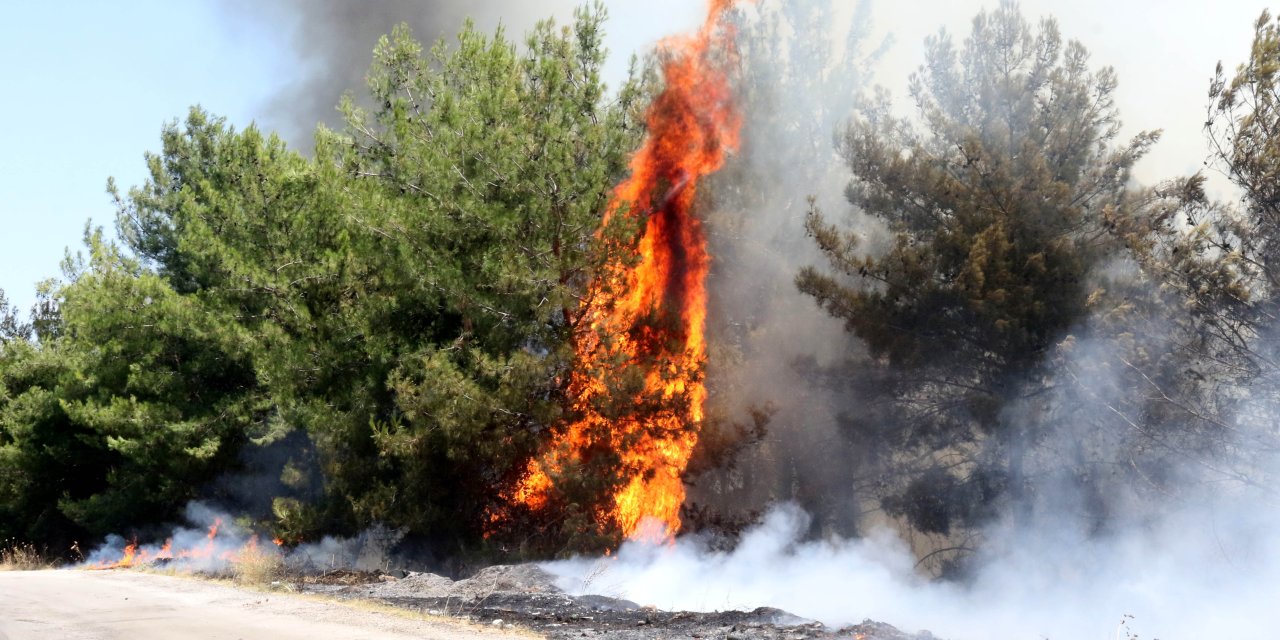 Antalya'da Orman Yangını (2)