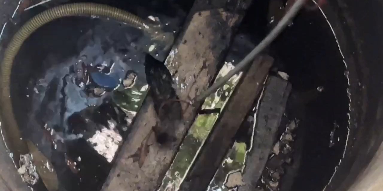 İstanbul - Avcılar'da Kuyuya Düşen Yavru Kediyi İtfaiye Kurtardı