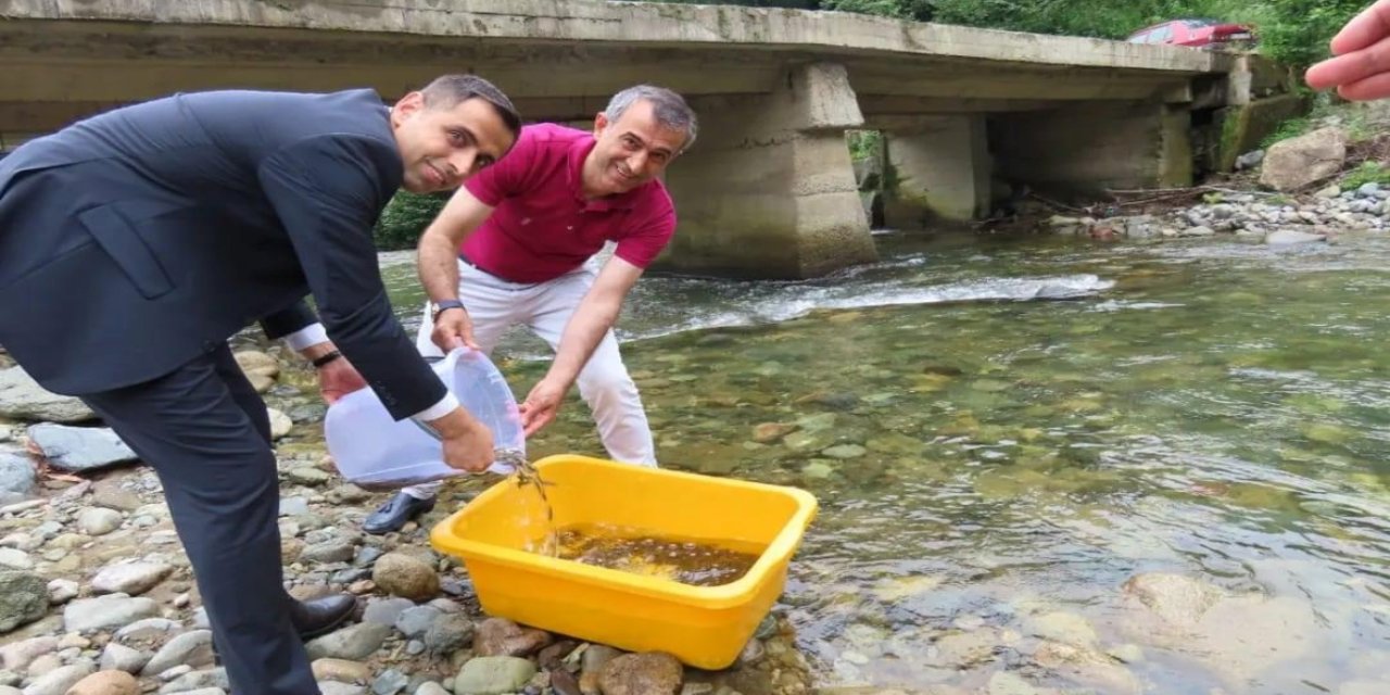 Trabzon'da 5 bin alabalık yavrusu Hayrat Deresi'ne bırakıldı
