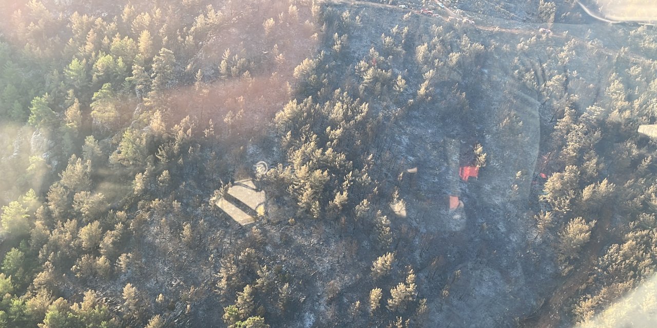 Bodrum'daki Orman Yangını 18 Saat Sonra Kontrol Altında