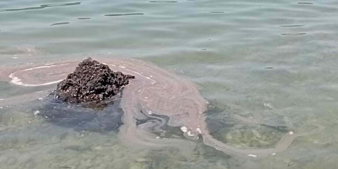 'Dünyaca Ünlü Koya Sintine Atığı Boşaltıldı' İddiası