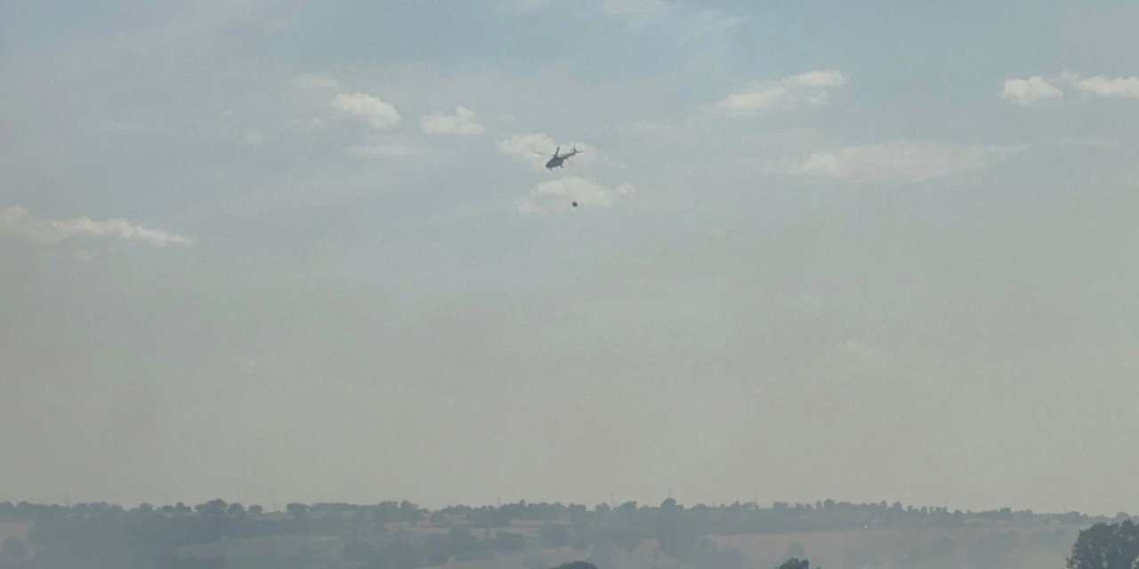 Edirne'de Orman Yangını (2)