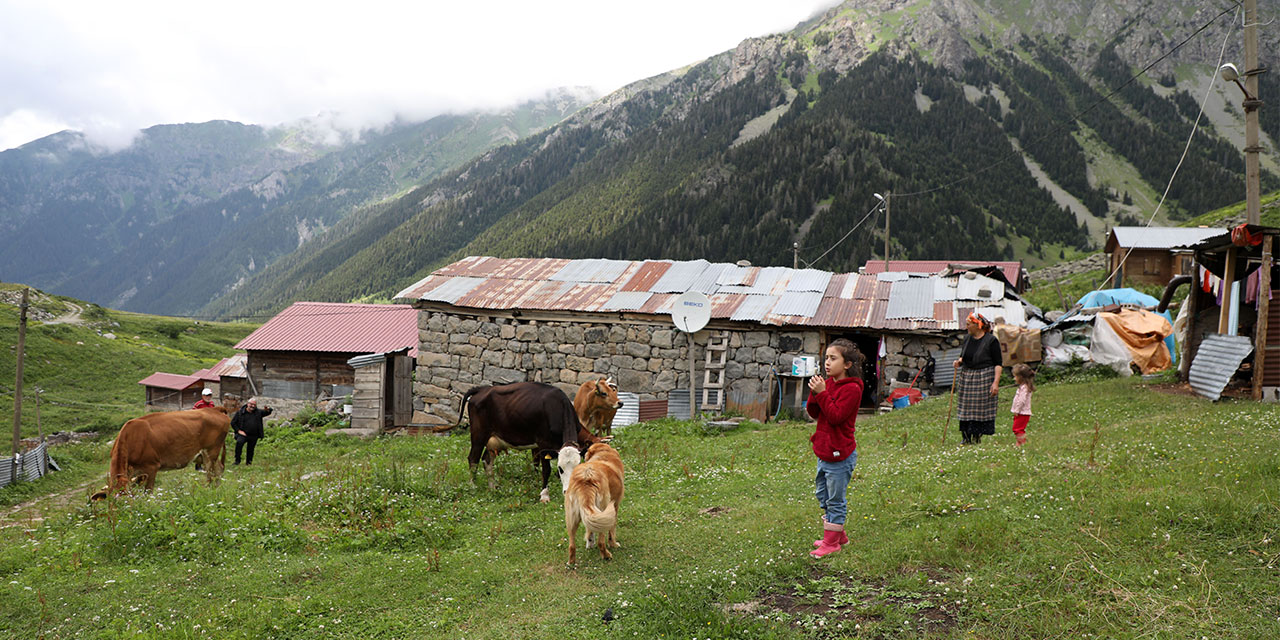 Kaçkar'daki yaylanın kadınları yarım asırdır hayvancılık yapıyor