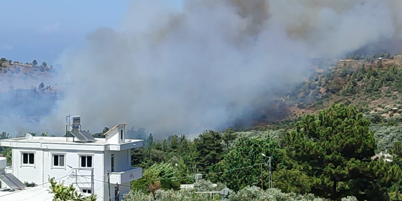 Hatay’da Yerleşim Yeri Yakınında Orman Yangını