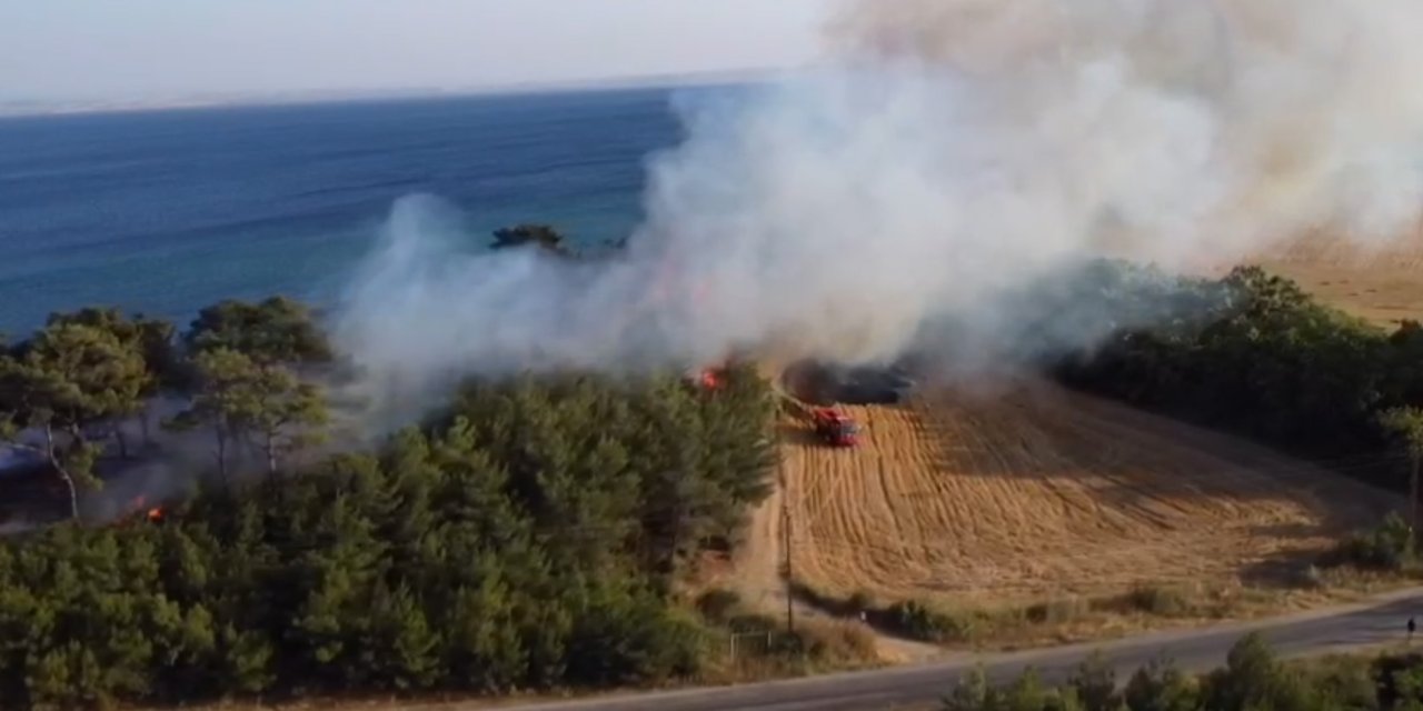 Keşan'da Orman Yangını (2)