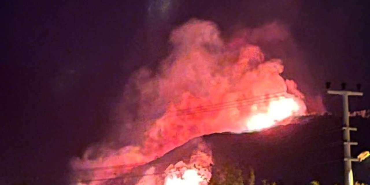 İzmir'in Urla İlçesinde Orman Yangını