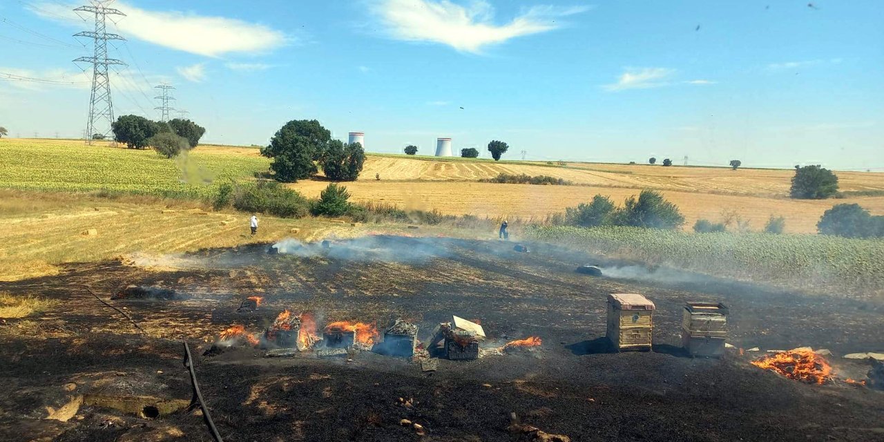 Kırklareli Anız Yangının Sıçradığı, İçinde Arıların Olduğu 200 Kovan Yandı