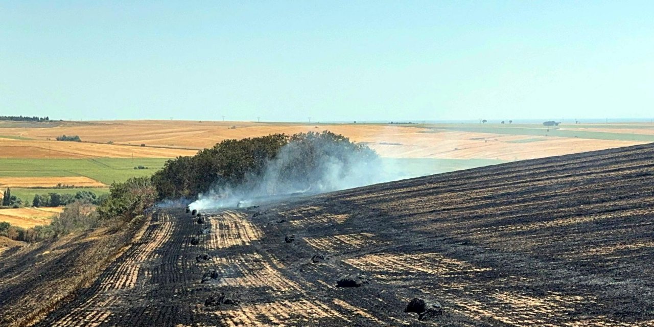 Tekirdağ'da Anız Yangınında 200 Dönüm Tarım Alanı Zarar Gördü
