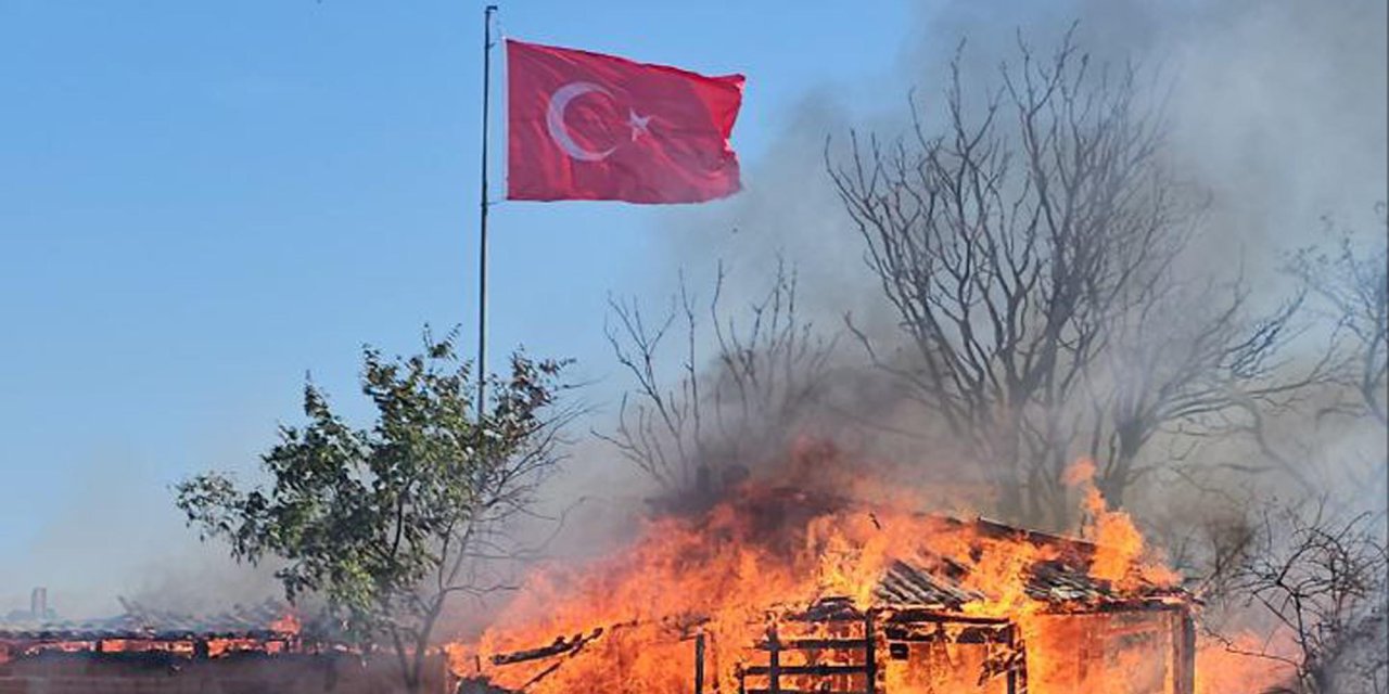 Edirne'de Anız Yangını Ağıla Sıçradı