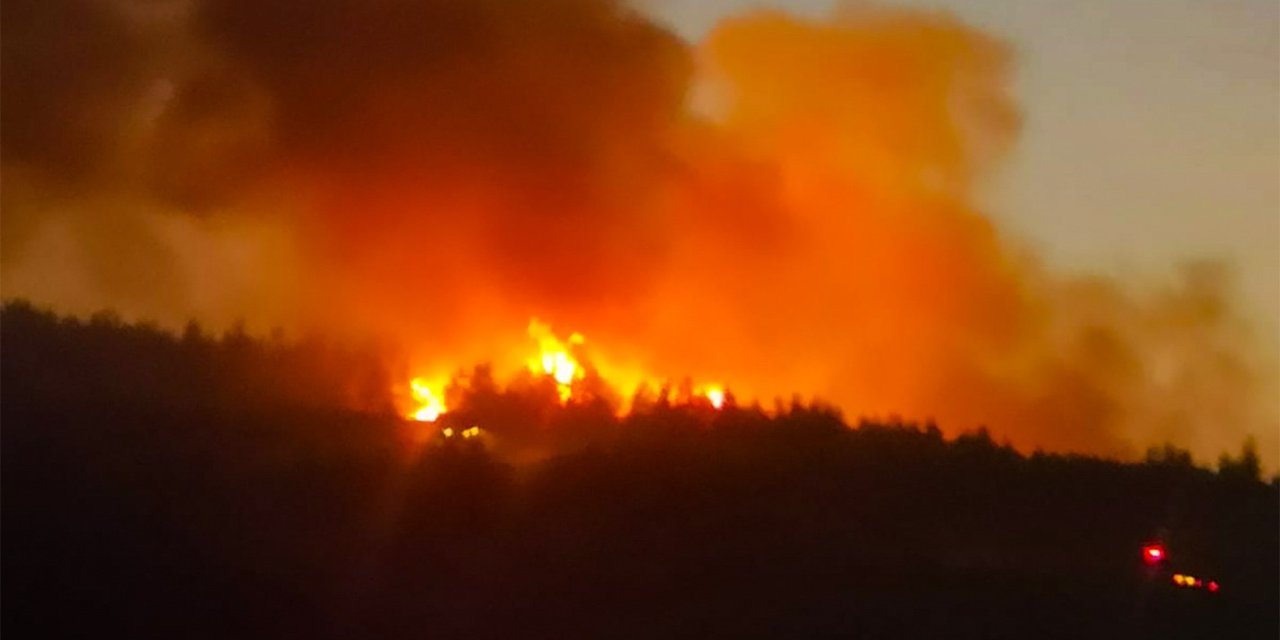 Balıkesir’deki Orman Yangını Kontrol Altında