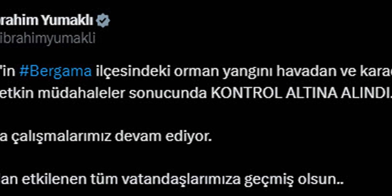 Bergama'daki Orman Yangını 24 Saat Sonra Kontrol Altında; Orman İşletme Müdürü Kazada Yaşamını Yitirdi (5)