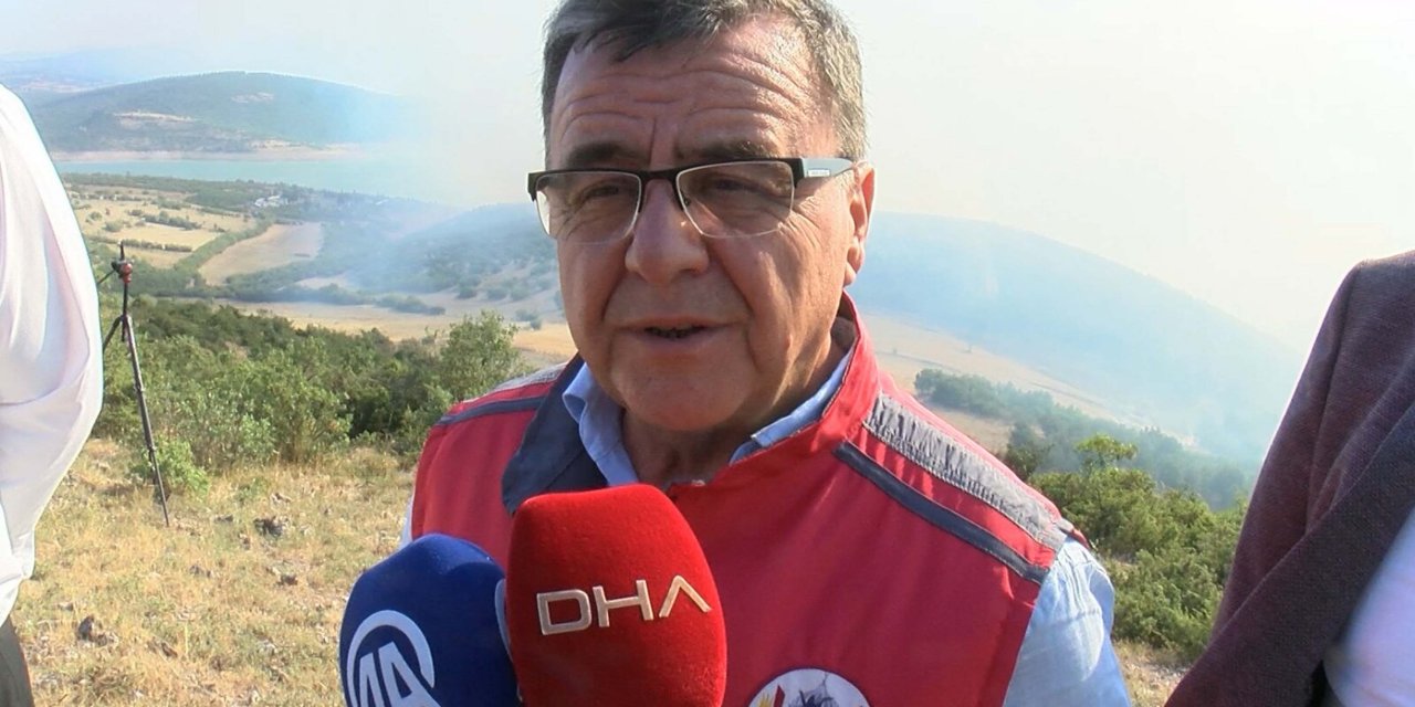 Balıkesir'de Orman Yangını (3)