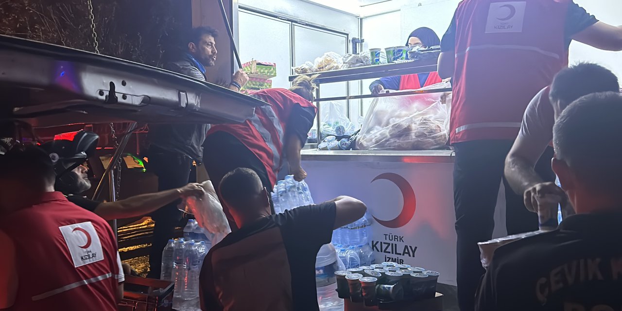 Buca'da Orman Yangını (6)