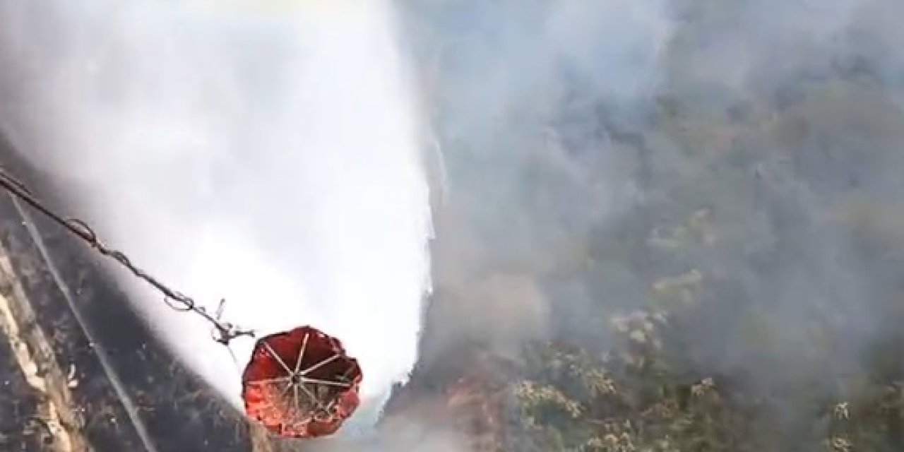 Balıkesir Susurluk'ta Orman Yangını