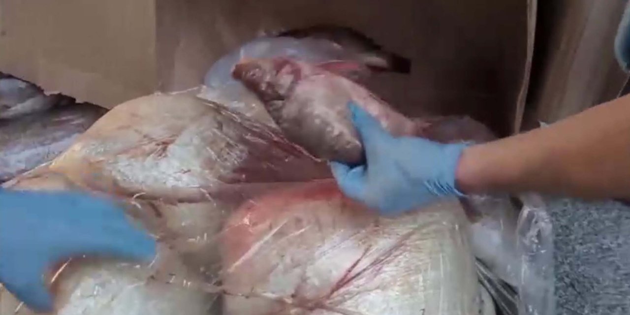 Kokmuş Balıkla Uyuşturucu Sevkiyatına 7 Tutuklama