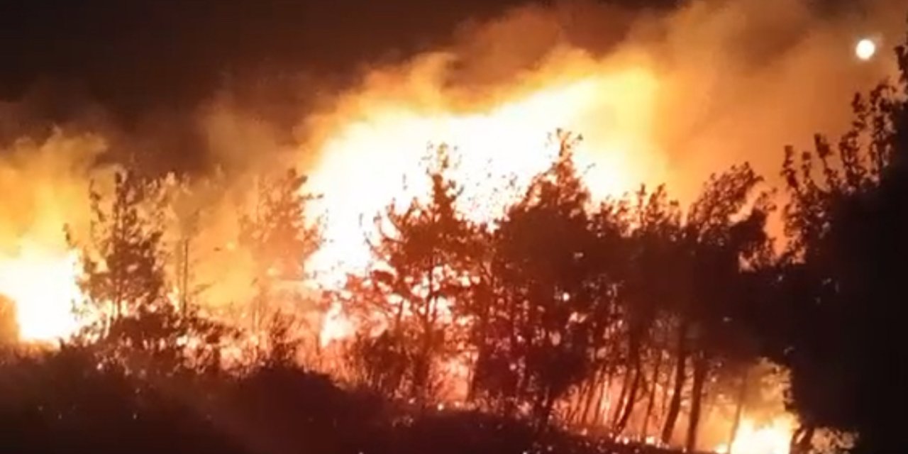 Ayvalık'ta Orman Yangını