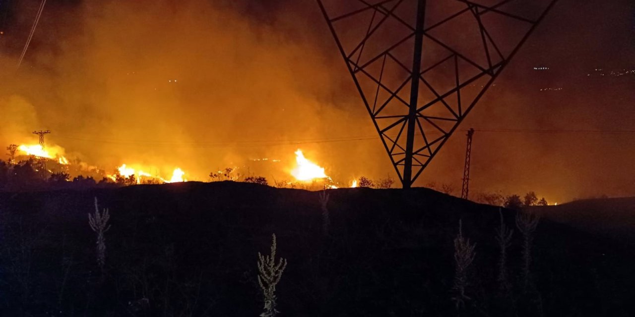 Bingöl’de Ormanlık Alanda Çıkan Örtü Yangını, Söndürüldü