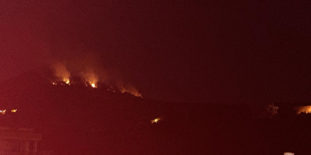 Adana'da Orman Yangını