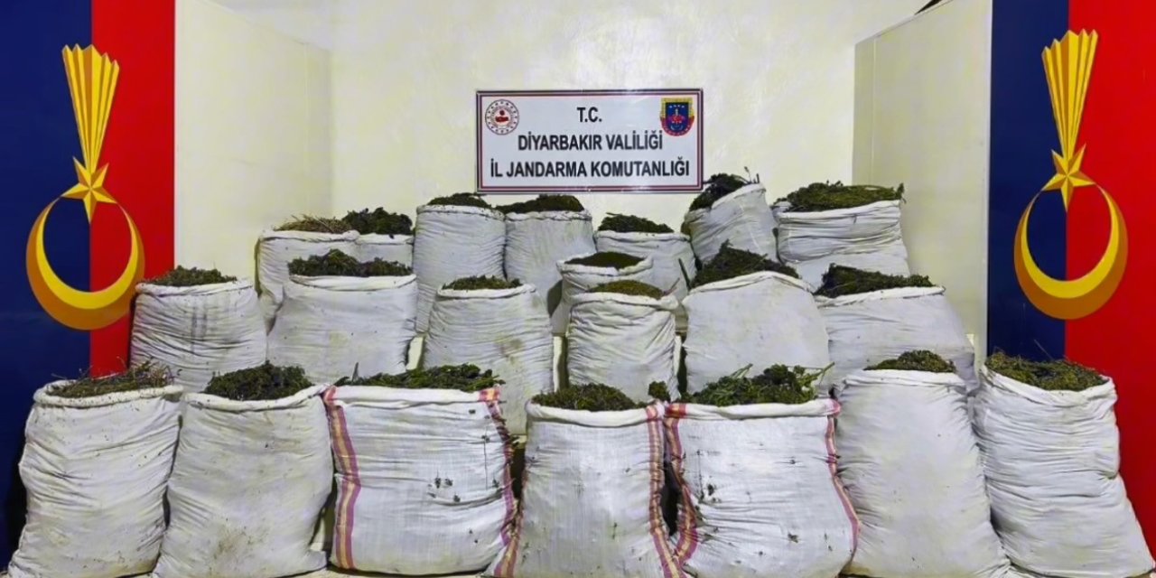 Diyarbakır’da 1 Milyon 781 Bin Kök Kenevir, 511 Kilo Esrar Ele Geçirildi; 1 Gözaltı