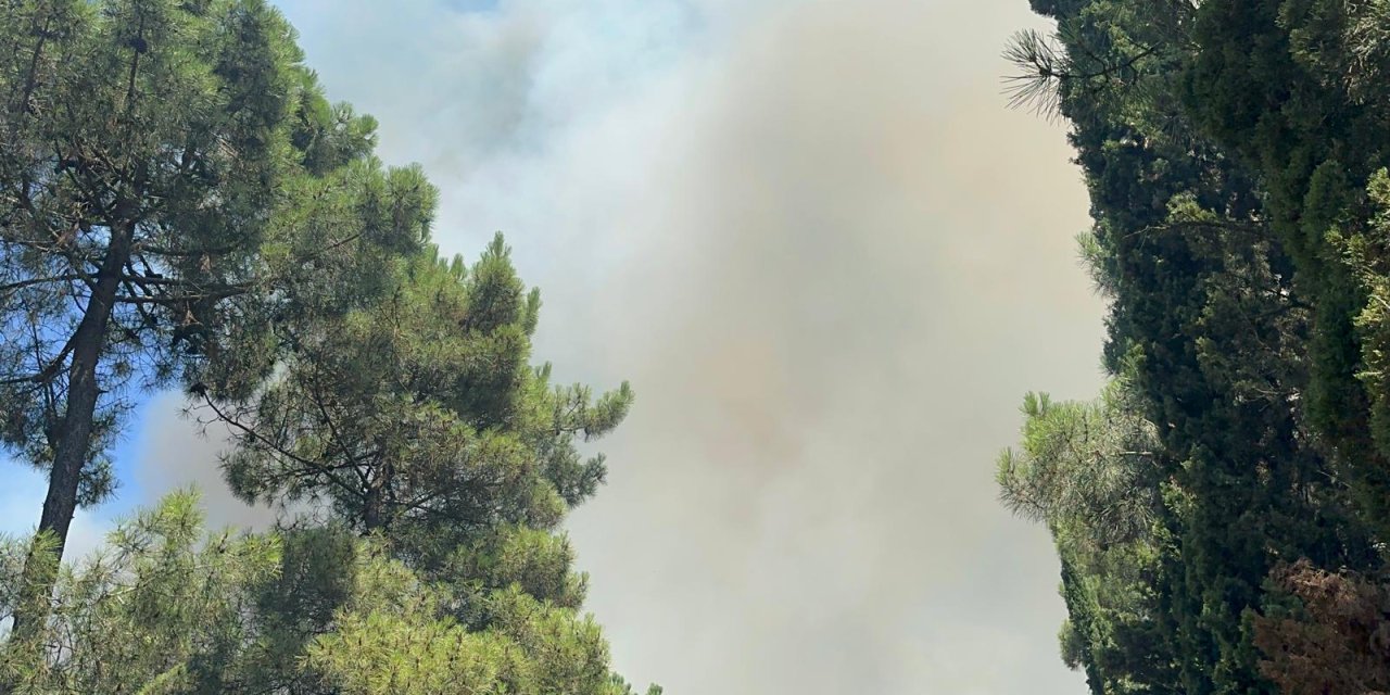 İstanbul - Aydos Ormanı'nda Yangın - 5(Ek Bilgilerle)