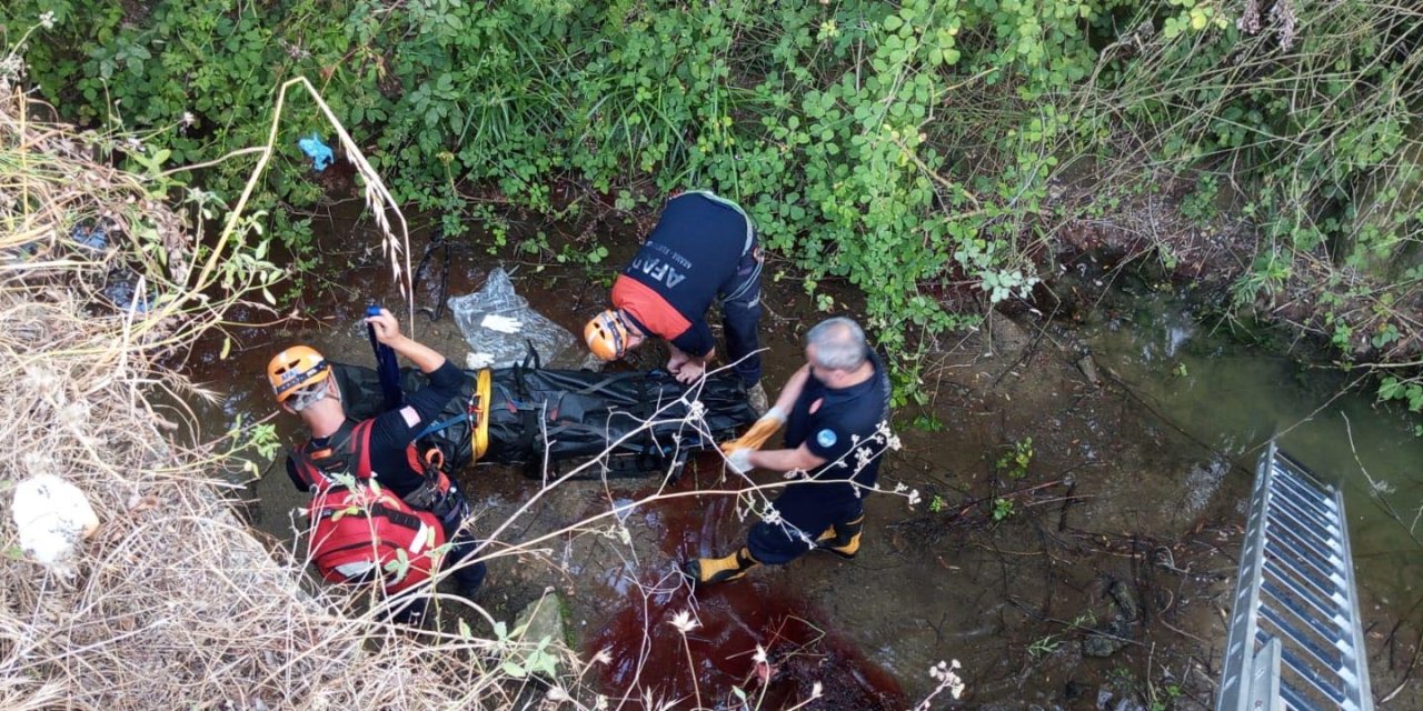 Yol Kenarında Tuvaletini Yapmak İsterken Dereye Düşerek Öldü
