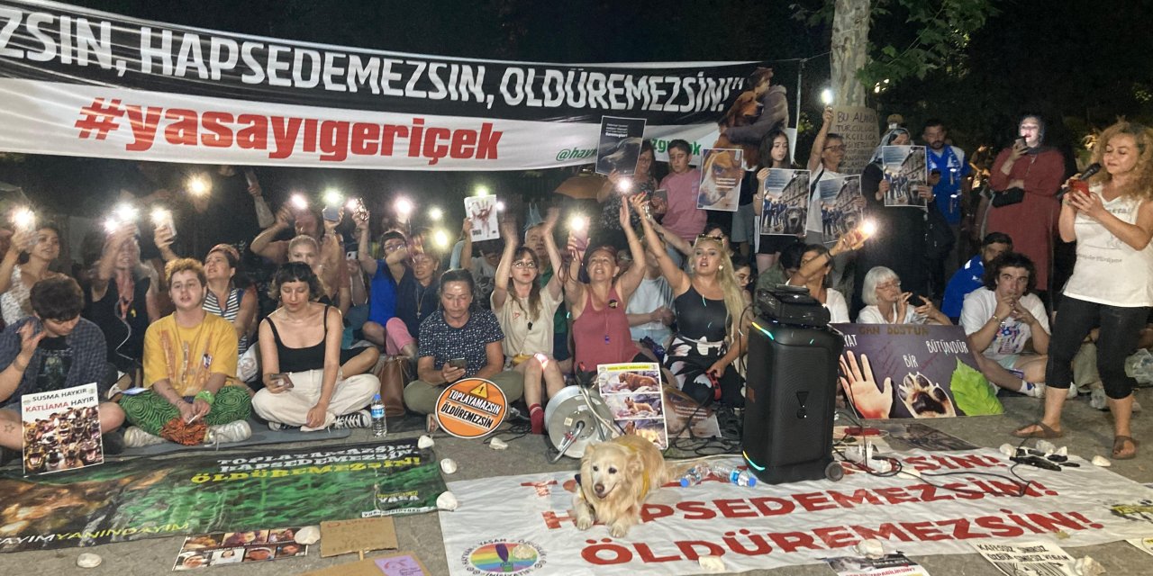 Ankara'da Sokak Hayvanlarına Yönelik Yasa Teklifine Karşı Protesto