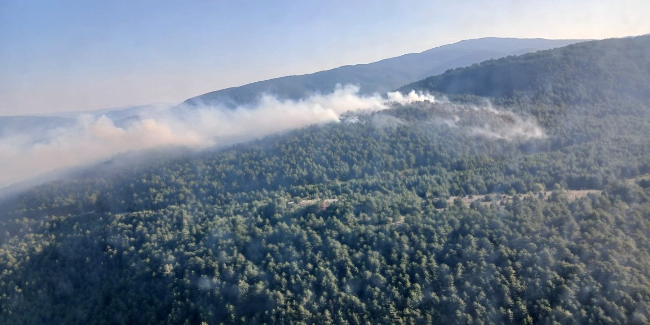 Karabük'te Orman Yangını (2)