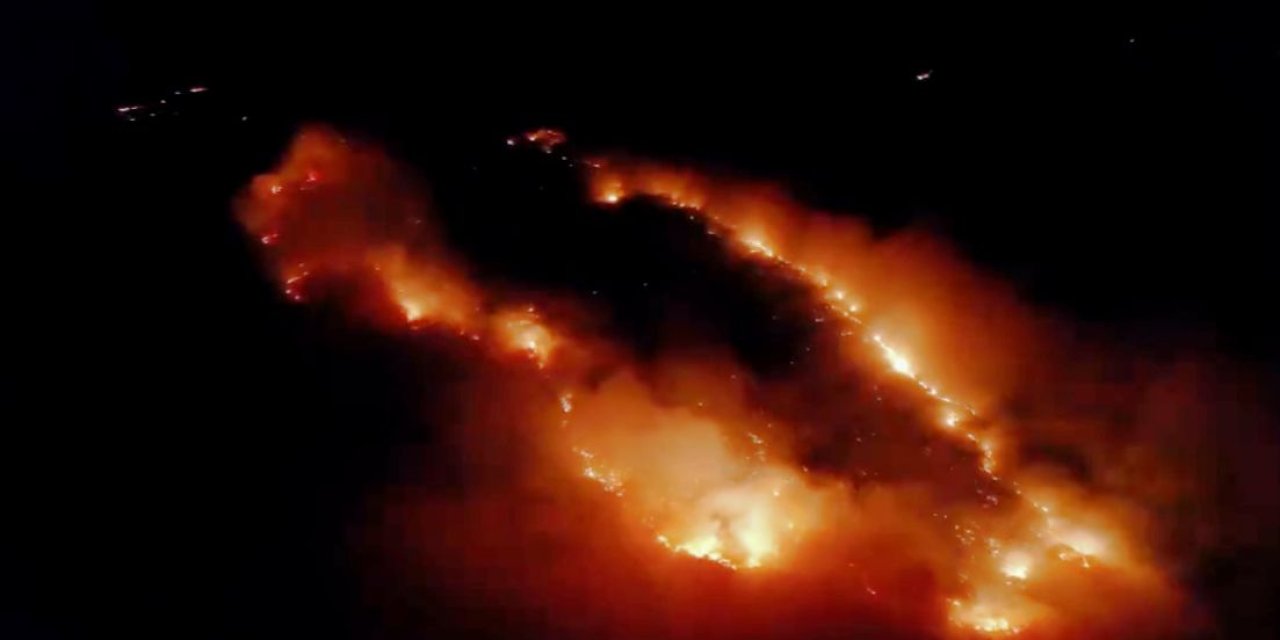 Elazığ’da Orman Yakınında Örtü Yangını