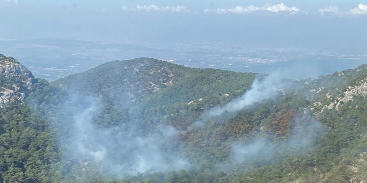 İzmir'de Orman Yangını
