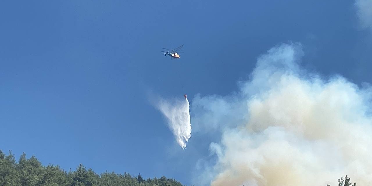 Kahramanmaraş’ta Orman Yangını (3)