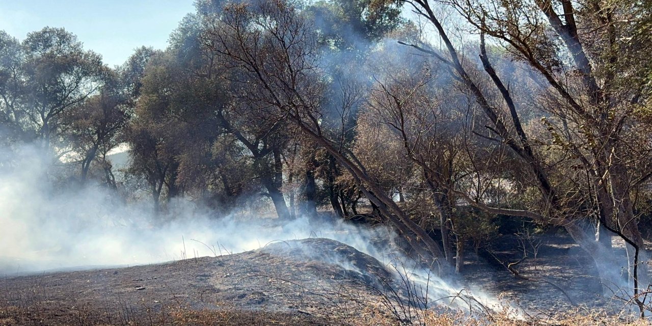 Tekirdağ’da İki Ayrı Piknik Alanında Yangın Çıktı