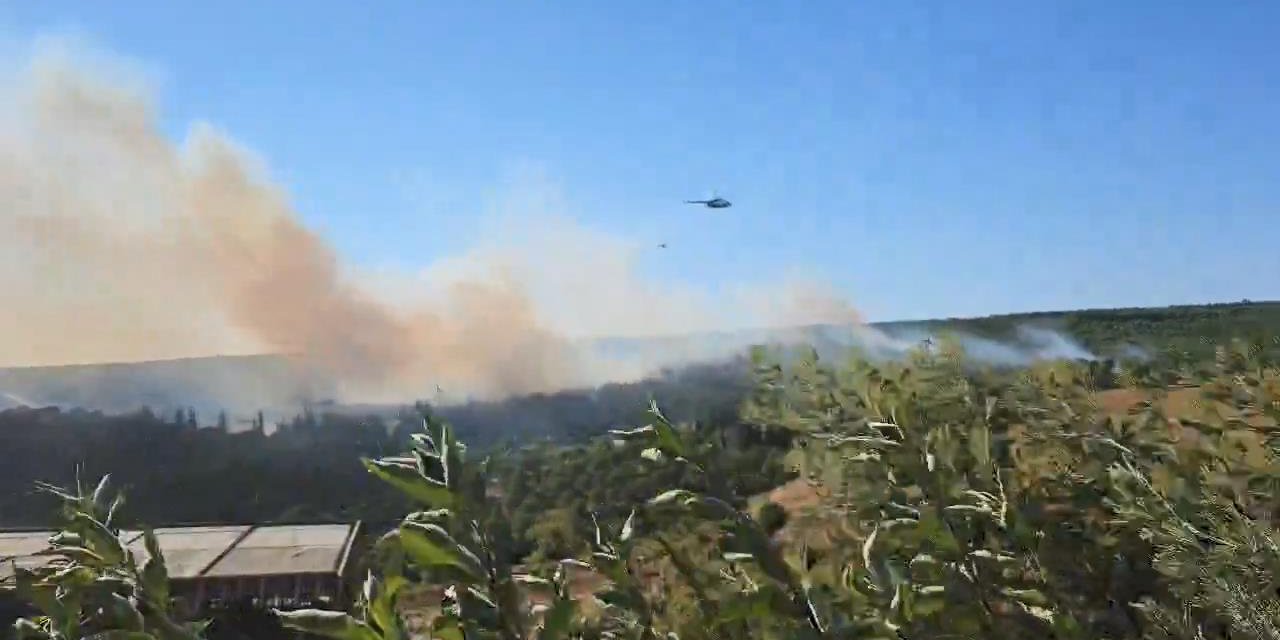 Yalova'da 2 Ayrı Noktada Orman Yangını (2)