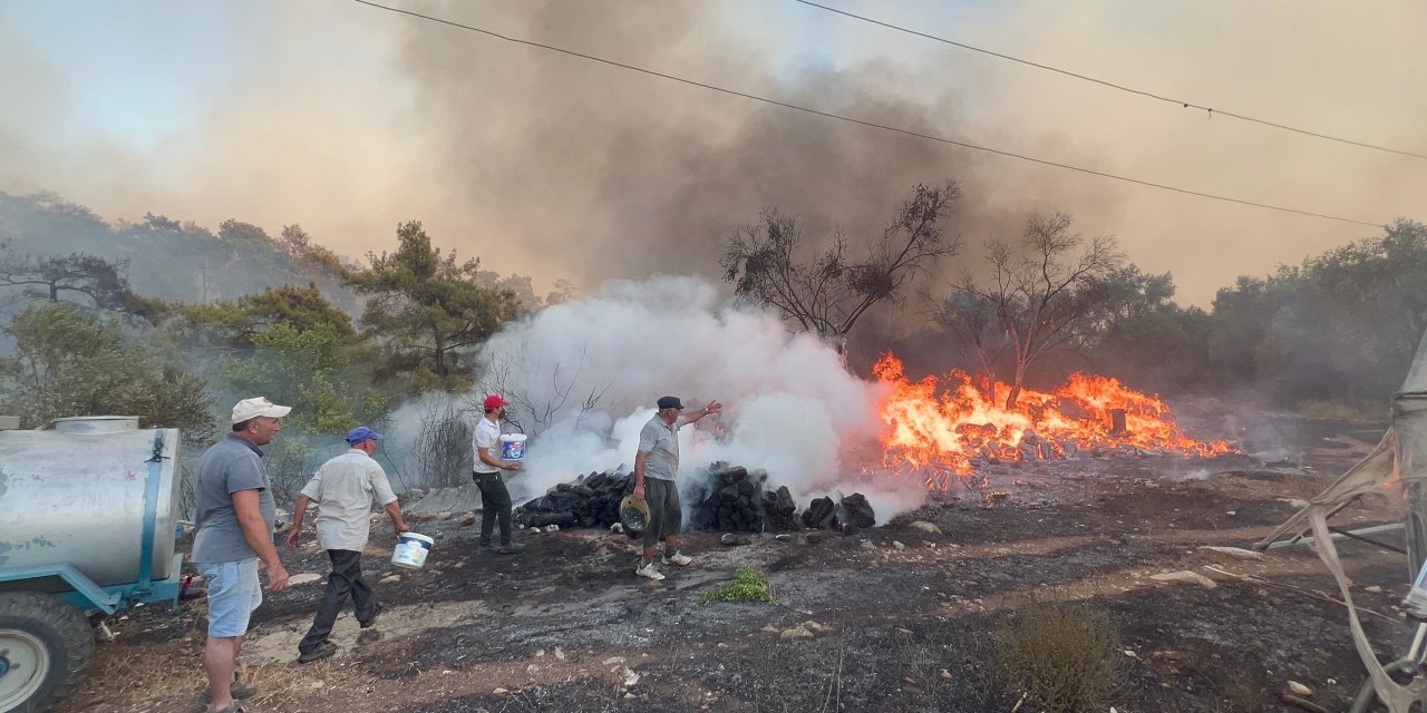 Antalya'da Orman Yangını (3)