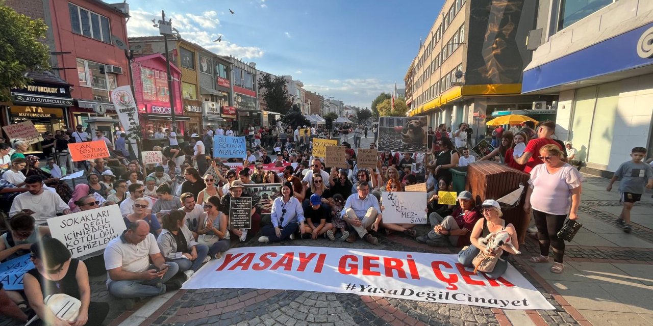 Edirne'de Hayvanseverlerden Yürüyüş Ve Oturma Eylemi