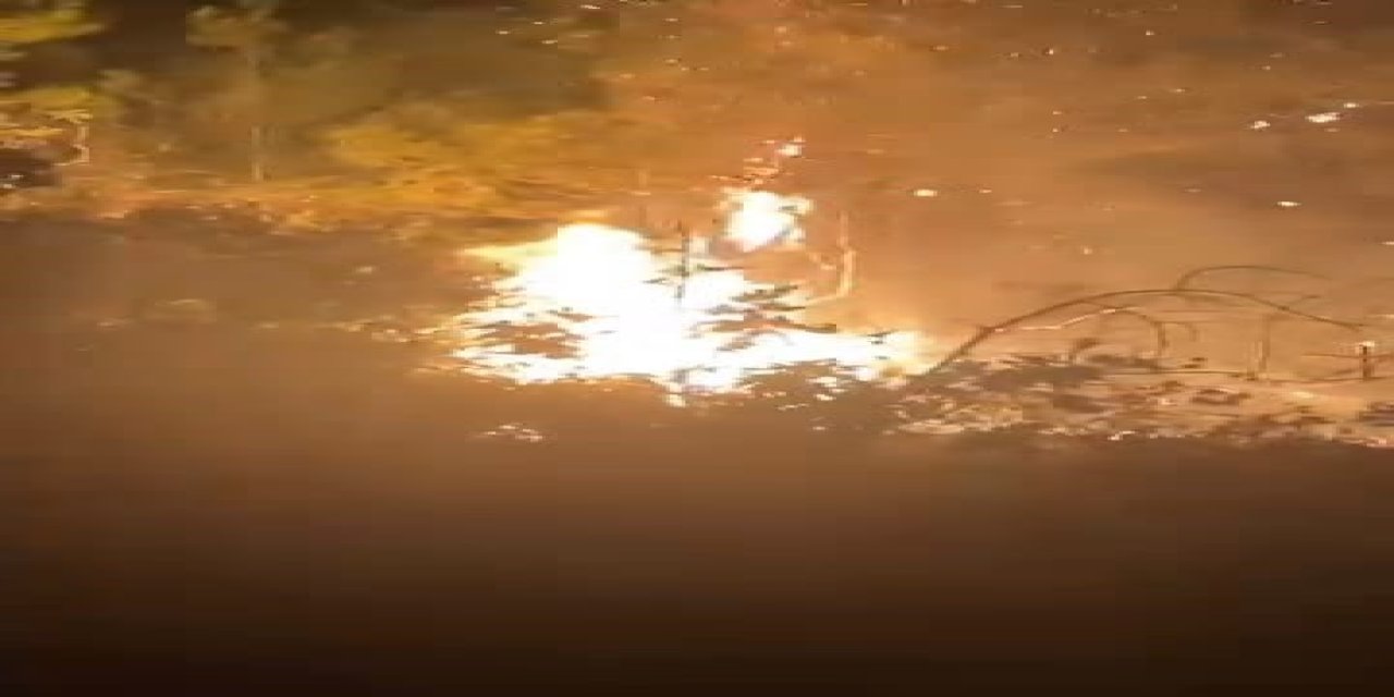 Adana'da Orman Yangını