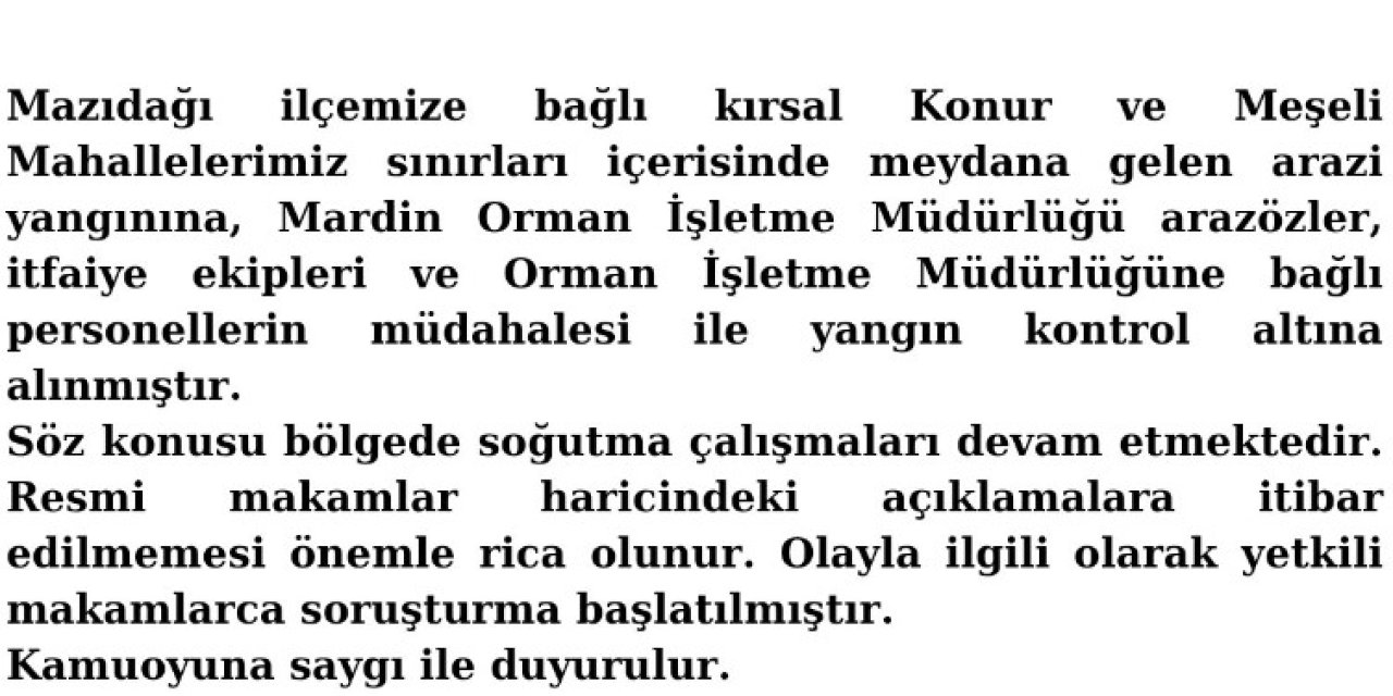 Mardin’de Orman Yangını, Kontrol Altına Alındı (2)