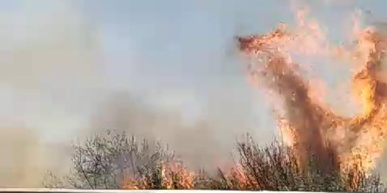 İstanbul - Silivri'de Otluk Alanda Yangın; Yol Trafiğe Açıldı - 2