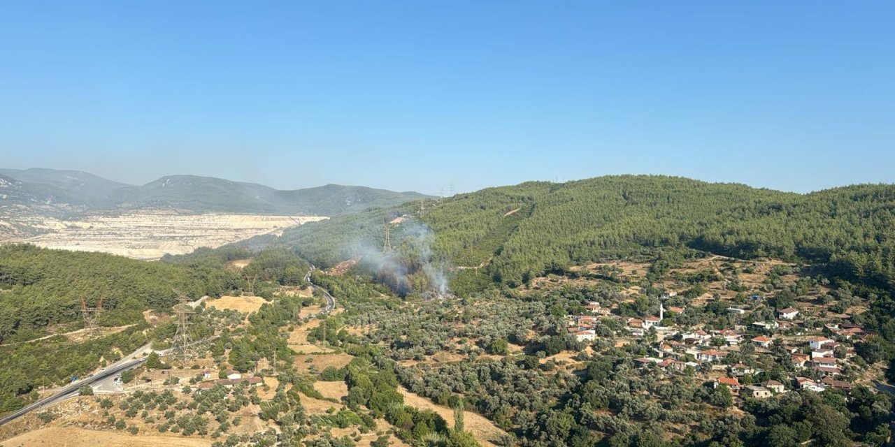 Milas'ta Çıkan Yangın Söndürüldü